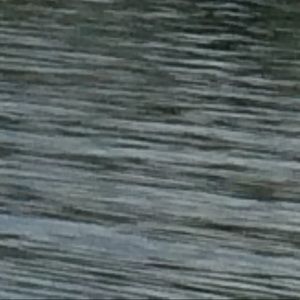 Meet your Posher, Mason